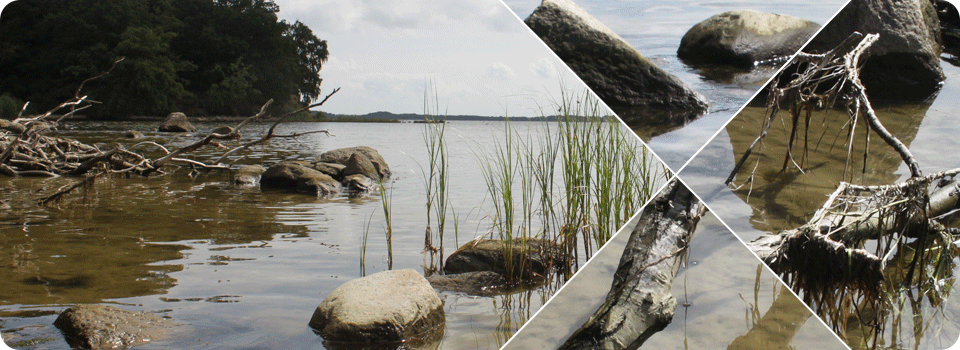 Header Bild